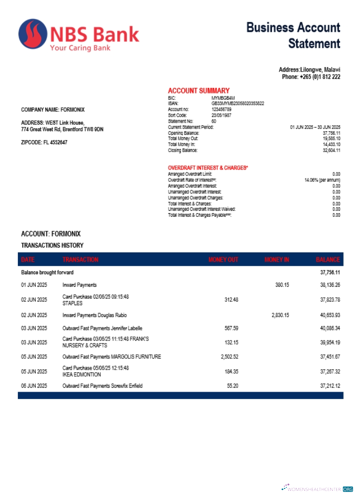 Download NBS enterprise account statement Word and PDF template (1) Photoshop template